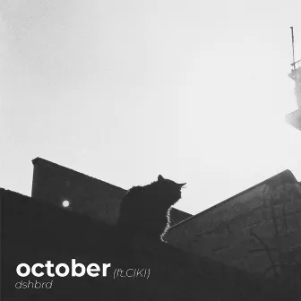 october by dshbrd