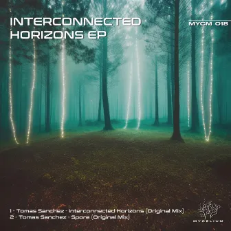 Interconnected Horizons by Tomas Sanchez