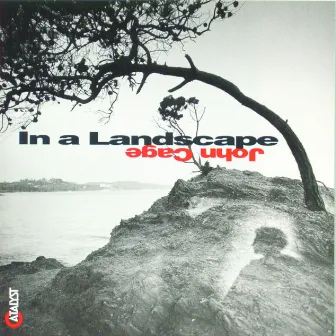 In a Landscape: Piano Music of John Cage by John Cage