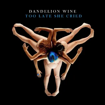 Too Late She Cried by Dandelion Wine