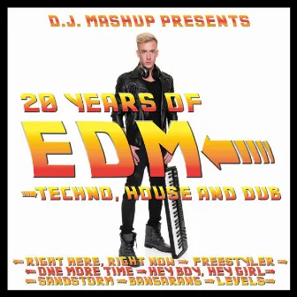 20 Years of EDM: Techno, House and Dub by DJMashup