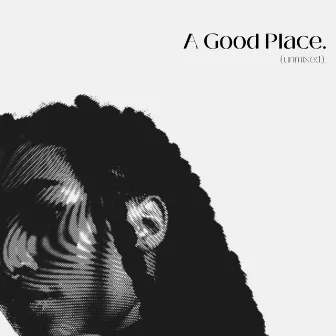 A Good Place by Vanessa Fitchett