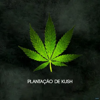 Plantação de Kush by MTD7 BR