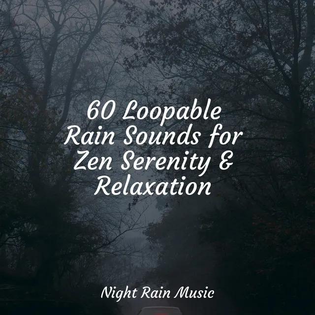 60 Loopable Rain Sounds for Zen Serenity & Relaxation