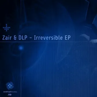 Irreversible by Zair