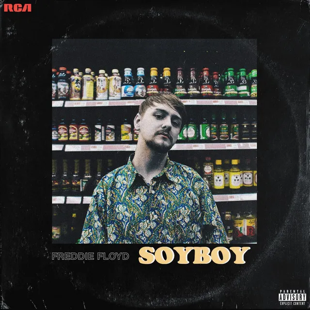 Soyboy