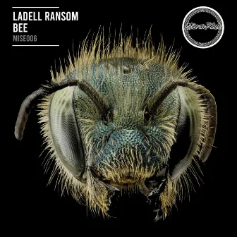 Bee by LaDell Ransom