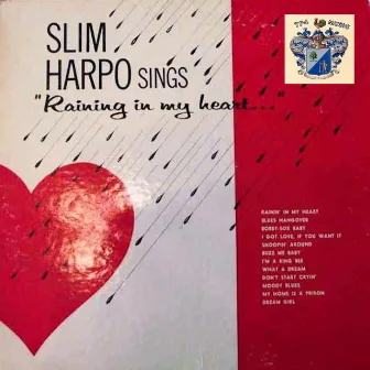 Raining in My Heart by Slim Harpo