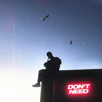 Don't Need by Somber Hills