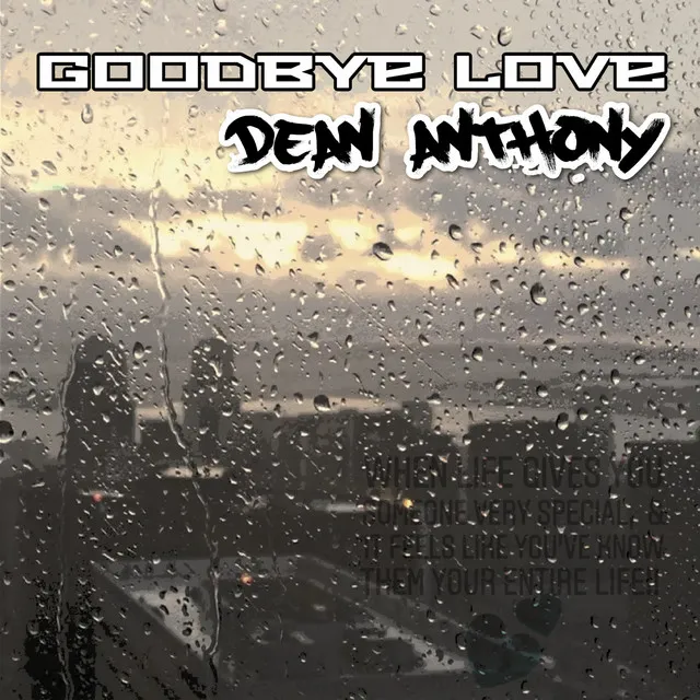 Goodbye Love (Remix)