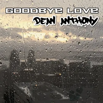 Goodbye Love by Unknown Artist