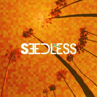 The Orange Album by Seedless