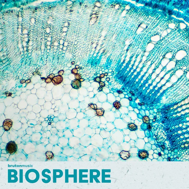 Biosphere