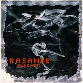 Rasante by Salt