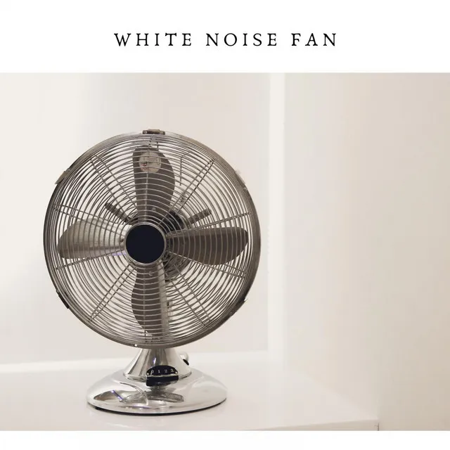 Sleep Fan