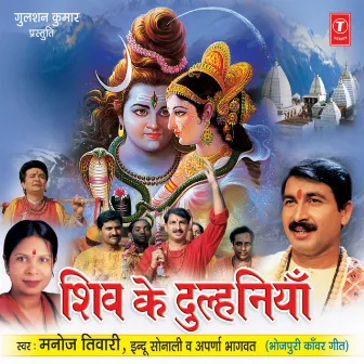 Shiv Ke Dulhiniyan by Aparna Bhagwat