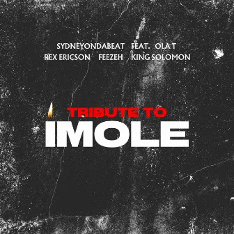 Tribute to Imole by Sydneyondabeat