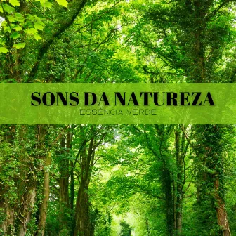 Sons Da Natureza: Essência Verde by Calma