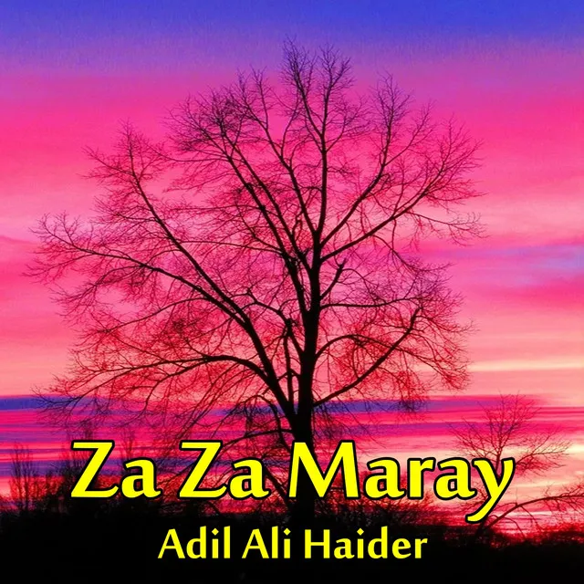 Adil Ali Haider