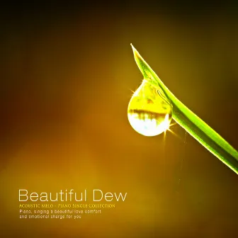 Beautiful Dew by Acoustic Melo