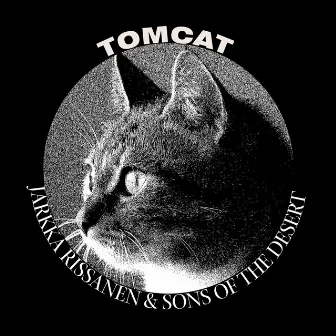 Tomcat by Jarkka Rissanen