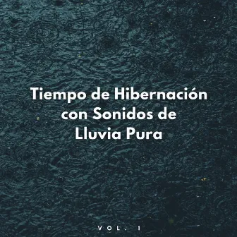 Tiempo De Hibernación Con Sonidos De Lluvia Pura Vol. 1 by Lluvia tranquila para dormir