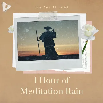 1 Hour of Meditation Rain by Zen Music Sessions