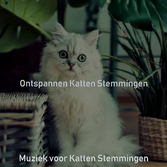 Ontspannen Katten Stemmingen by Muziek voor Katten Stemmingen