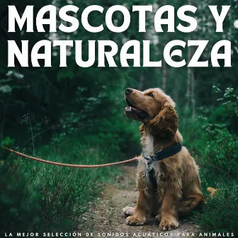 Mascotas Y Naturaleza: La Mejor Selección De Sonidos Acuáticos Para Animales by Radio Naturaleza 1