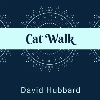 Cat Walk by David Hubbard