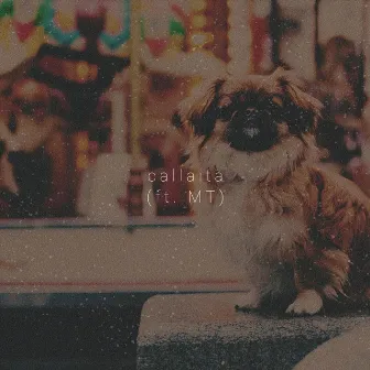 Callaita by Pet Friendly