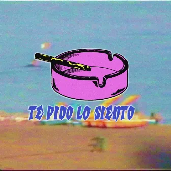 Te pido lo siento by Plasaporros