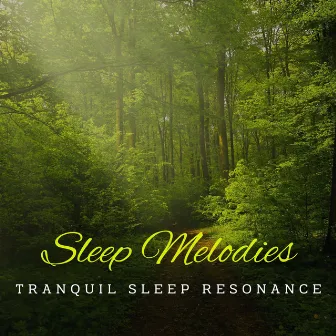 Piano Reverie: Dreamy Sleep Melodies by Sleep Sleep Sleep Sleep