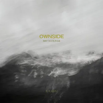 Metaverse by Ownside