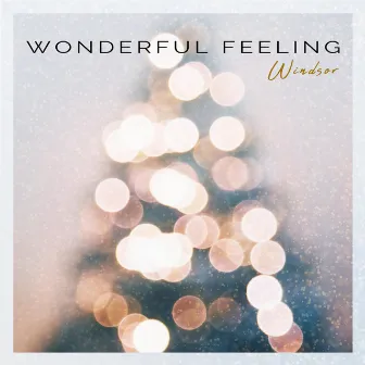 Wonderful Feeling by Windsor