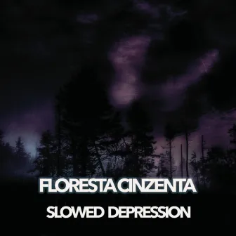 Floresta Cinzenta Slowed Depression by Sons da Natureza