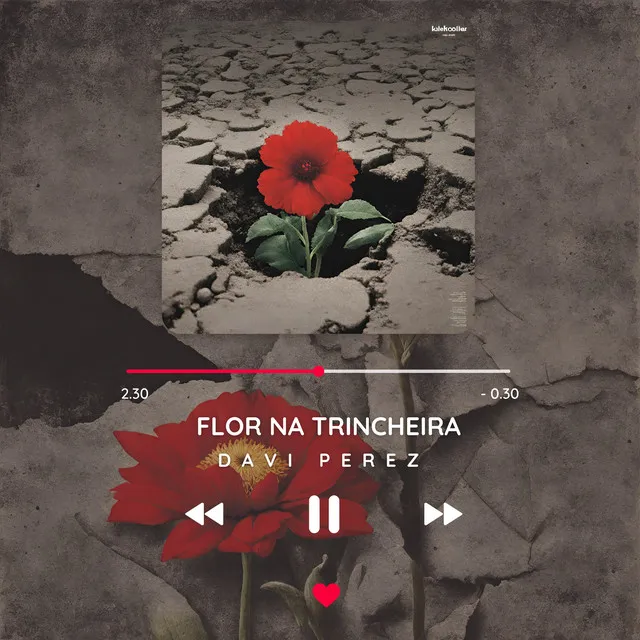 Flor na Trincheira