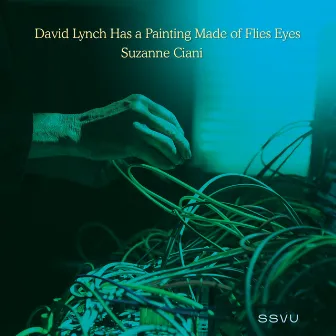 David Lynch Has a Painting Made of Flies Eyes / Suzanne Ciani by Butch Vig