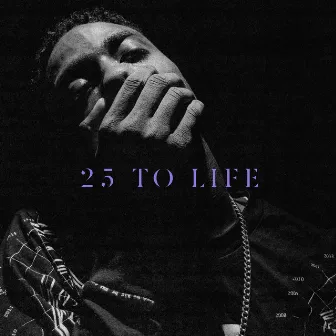 25 to Life by Dimitri McDowell