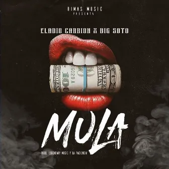 Mula by Big Soto