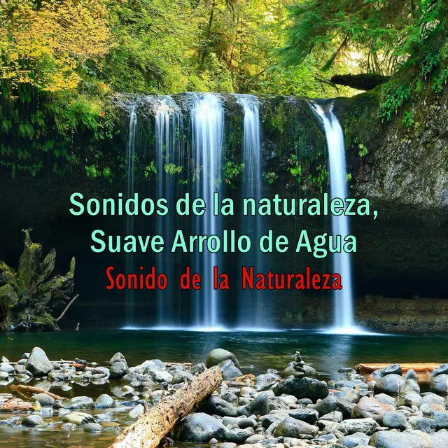 Sonido de la Naturaleza