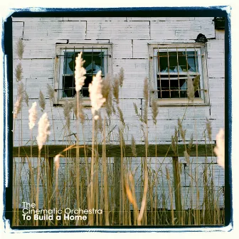 To Build A Home (Versions) by The Cinematic Orchestra