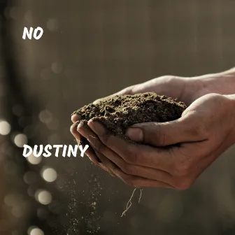 Dustiny by NO