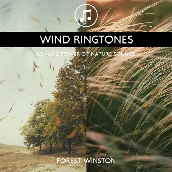 Wind Ringtones - Healing Power of Nature Sounds for Sleep and Relaxation, Storm Music by Forest Winston