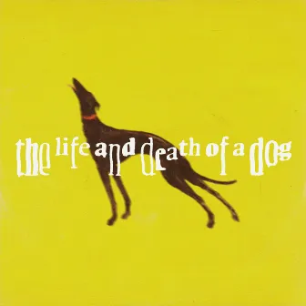 the life and death of a dog by maxime.