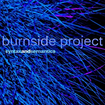 Syntax and Semantics by Burnside Project