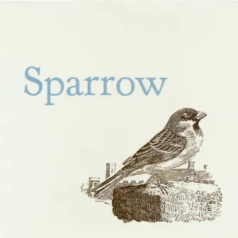 Sparrow by Sparrow