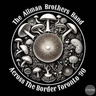 Across The Border (Live Toronto '90) by Allman Brothers Band