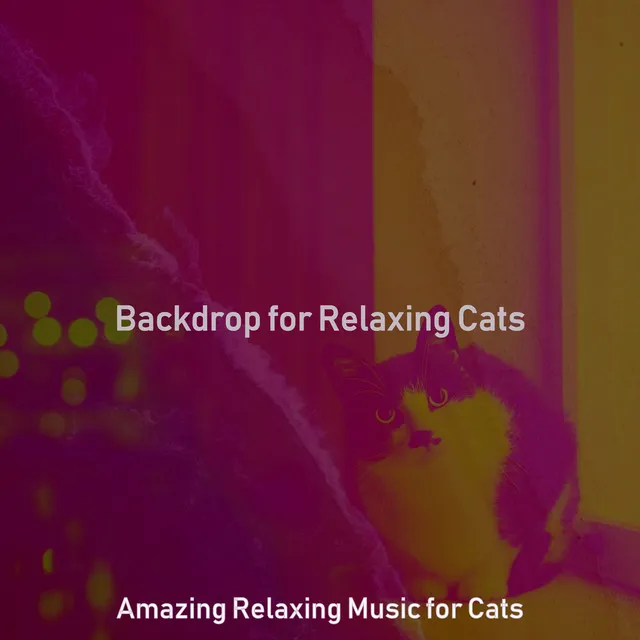 Backdrop for Relaxing Cats