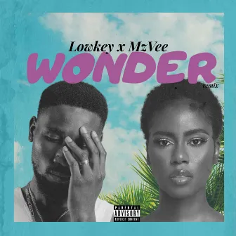 Wonder (Remix) by Lowkey